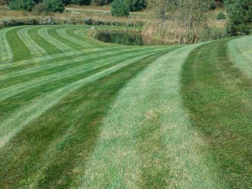 Wet Field Mowing