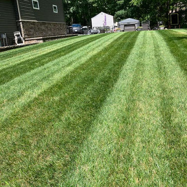 LA Lawn Care LLC project photo