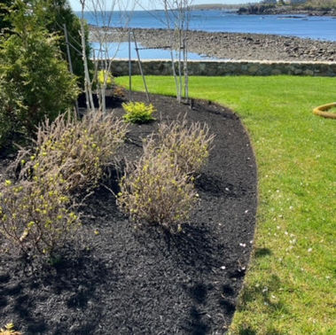 LA Lawn Care LLC project photo