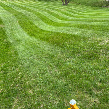LA Lawn Care LLC project photo