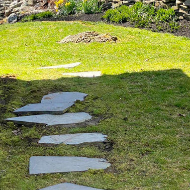 LA Lawn Care LLC project photo