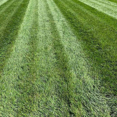 LA Lawn Care LLC project photo