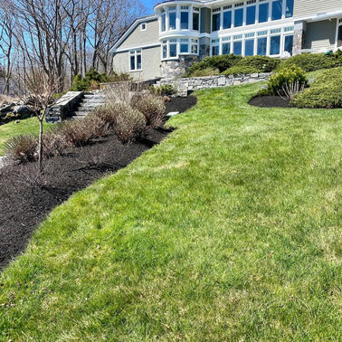 LA Lawn Care LLC project photo