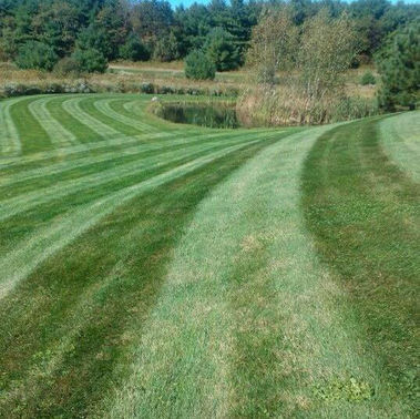 LA Lawn Care LLC project photo