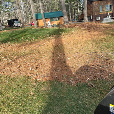 LA Lawn Care LLC project photo