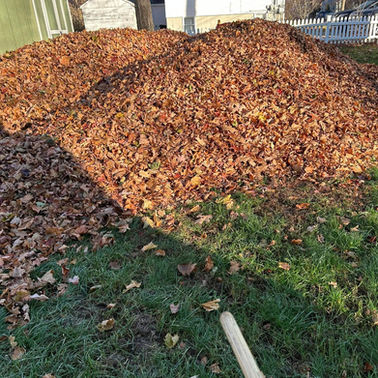 LA Lawn Care LLC project photo